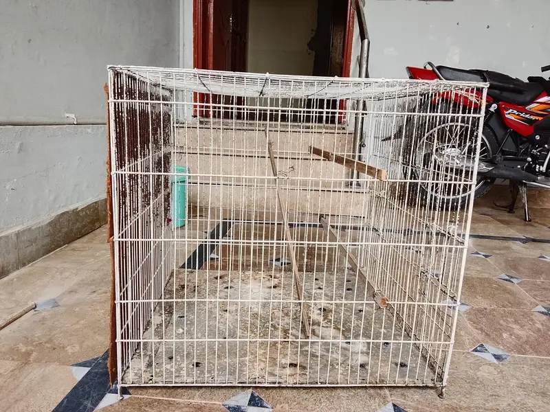 parrots cage 2x2 strong wire location gujrat 03068626059 — photo 3