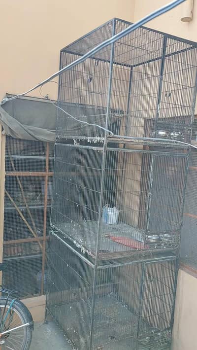 Raw parrot cages
