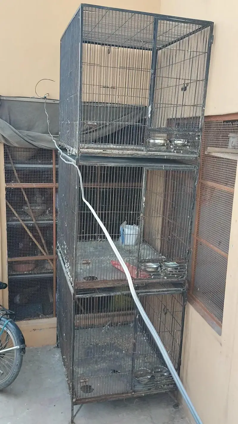 Raw parrot cages — photo 4