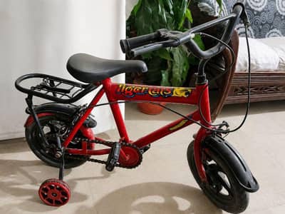 Bicycle for kids