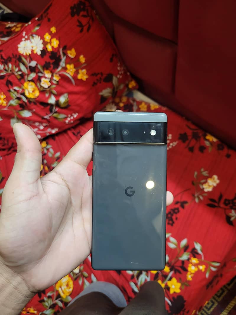 Google Pixel 6 (pannel Changed) 10