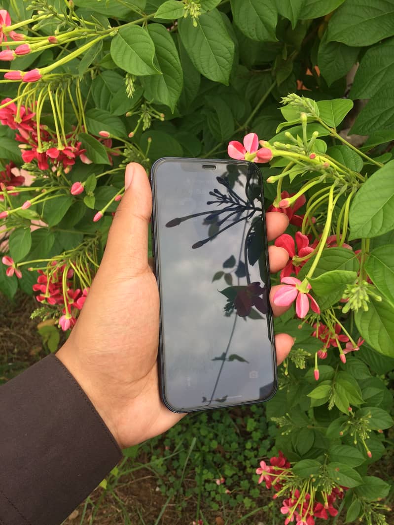 Apple iPhone 12 1