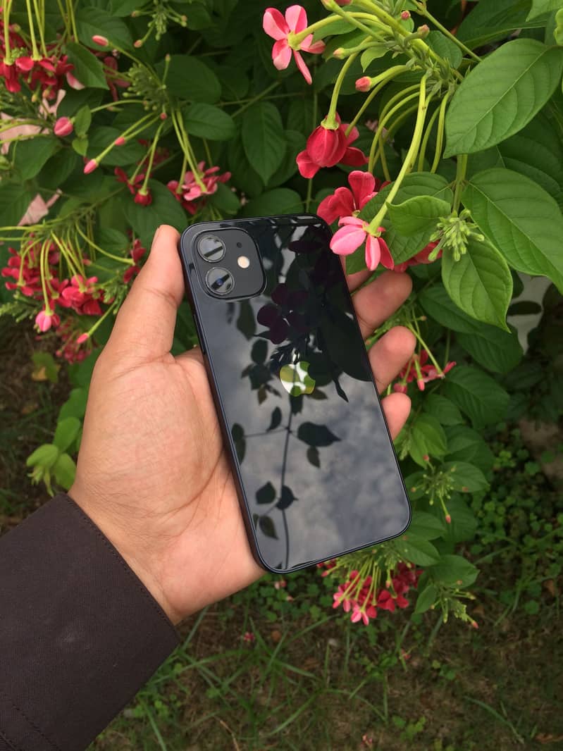 Apple iPhone 12 2