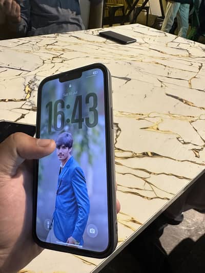 Apple iPhone 13 Pro Max 10-10