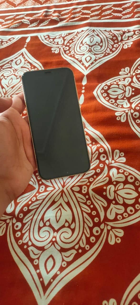 Apple iPhone 12 Pro 1