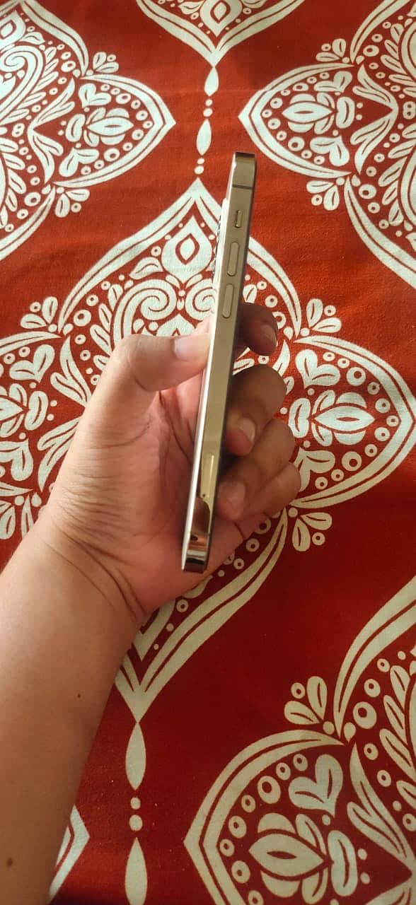 Apple iPhone 12 Pro 4