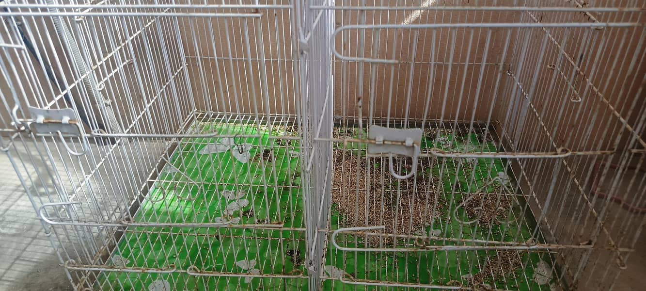 cages 1