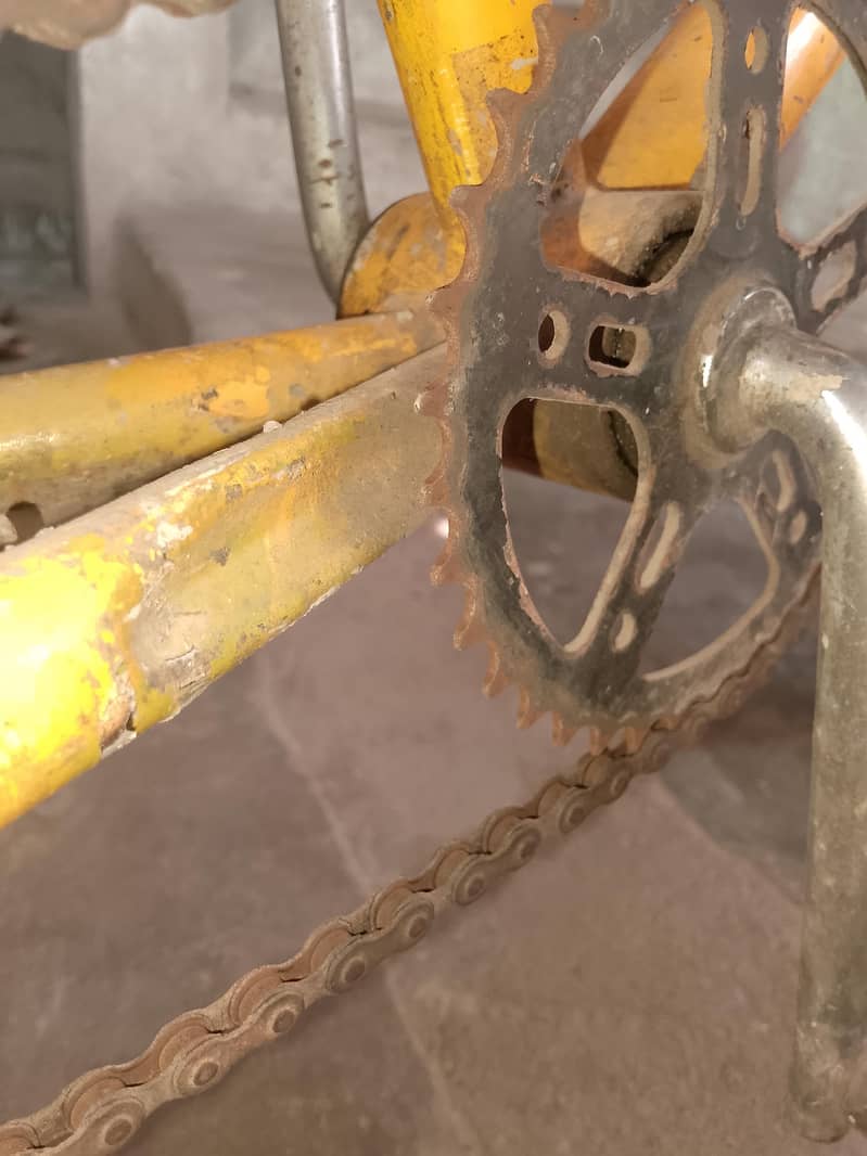 super cycle 10