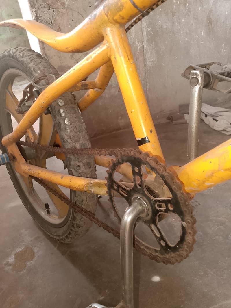 super cycle 12