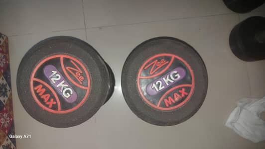 SELLING 12KG DUMBELL PAIR