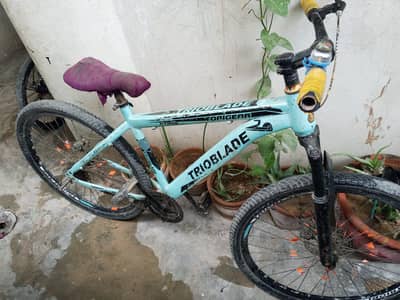 Trioblade cycle