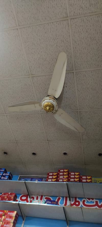 06- Ceiling Fans for Sale (Parwaz Fan)