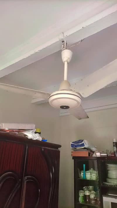 Alahmed fan for sale