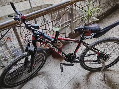 Dolphin river mountain bike