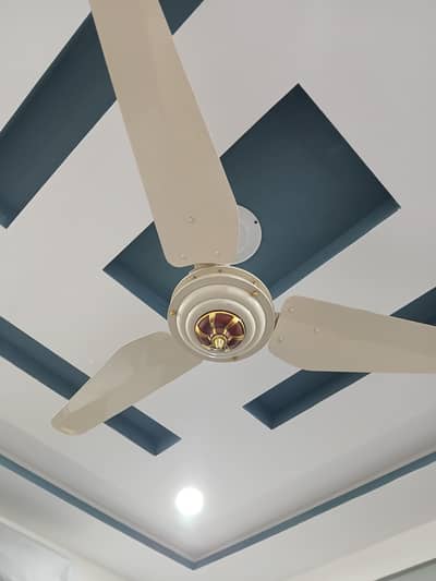 ceiling fan