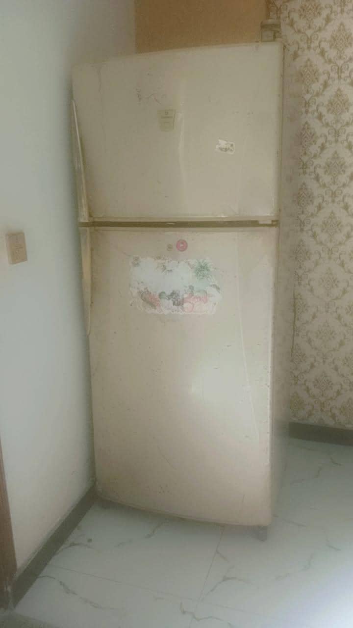 Jumbo Size Fride 1