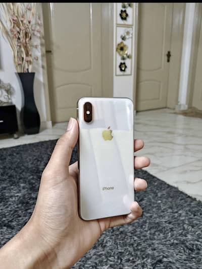 Apple iPhone X