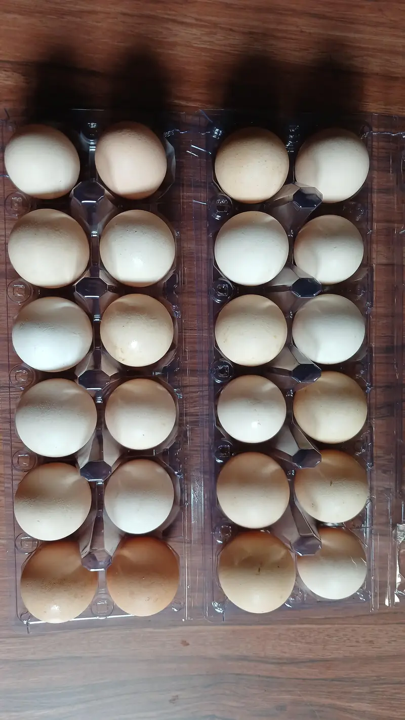 Organic Desi Golden Misri Eggs — photo 3