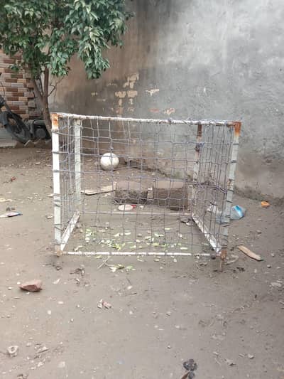 tukra . Hens