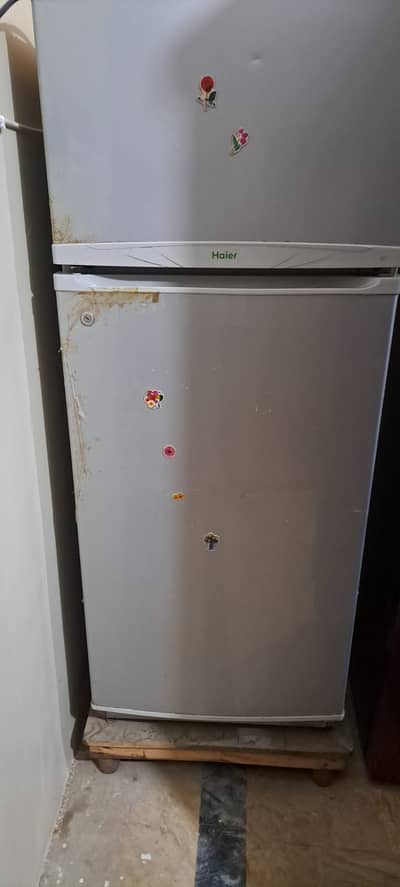 Haier  Fridge