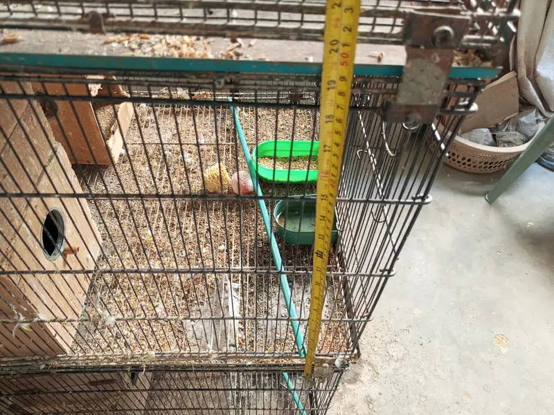Assalam o alaikum — photo 10