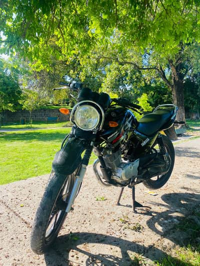 Yamaha YBR 125G 2017, 0-3-3-4-3-3-3-7-6-0-0