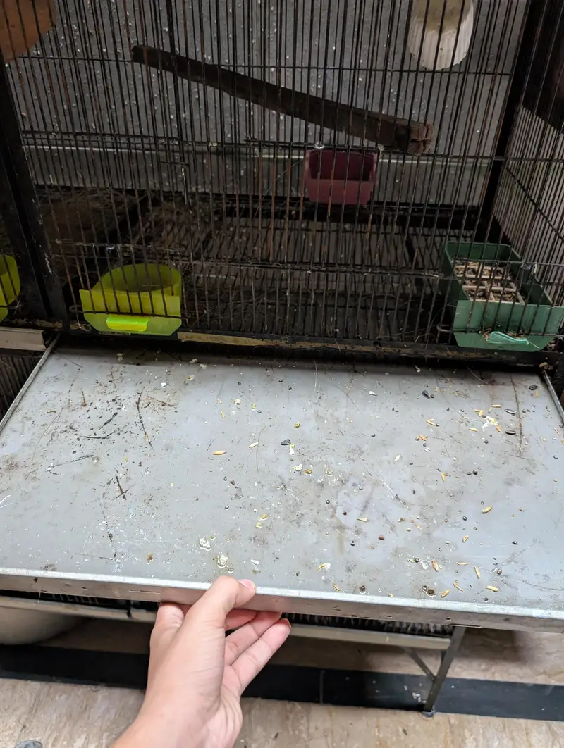 Full angle cage — photo 2