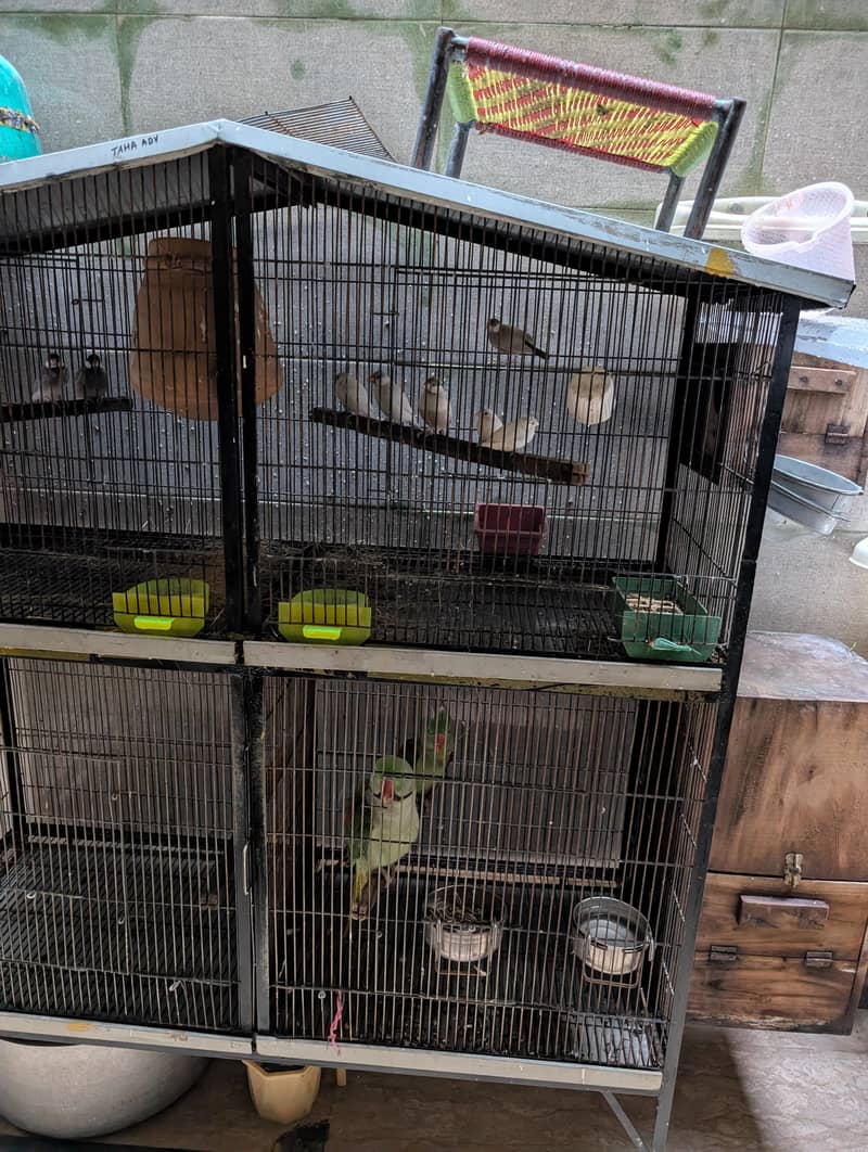 Full angle cage 2