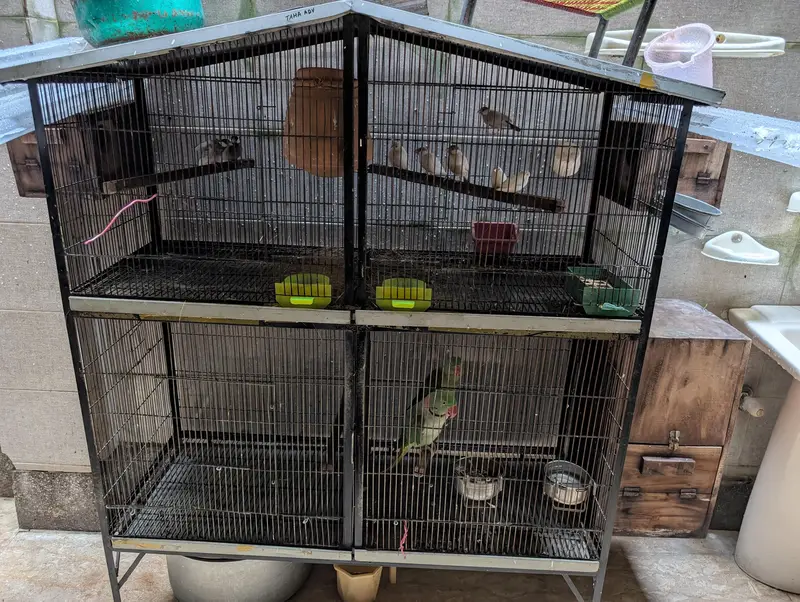 Full angle cage — photo 4