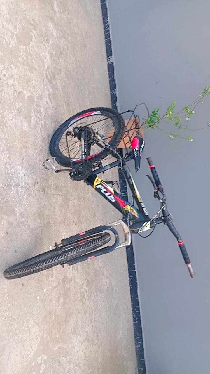 plus cycle 0