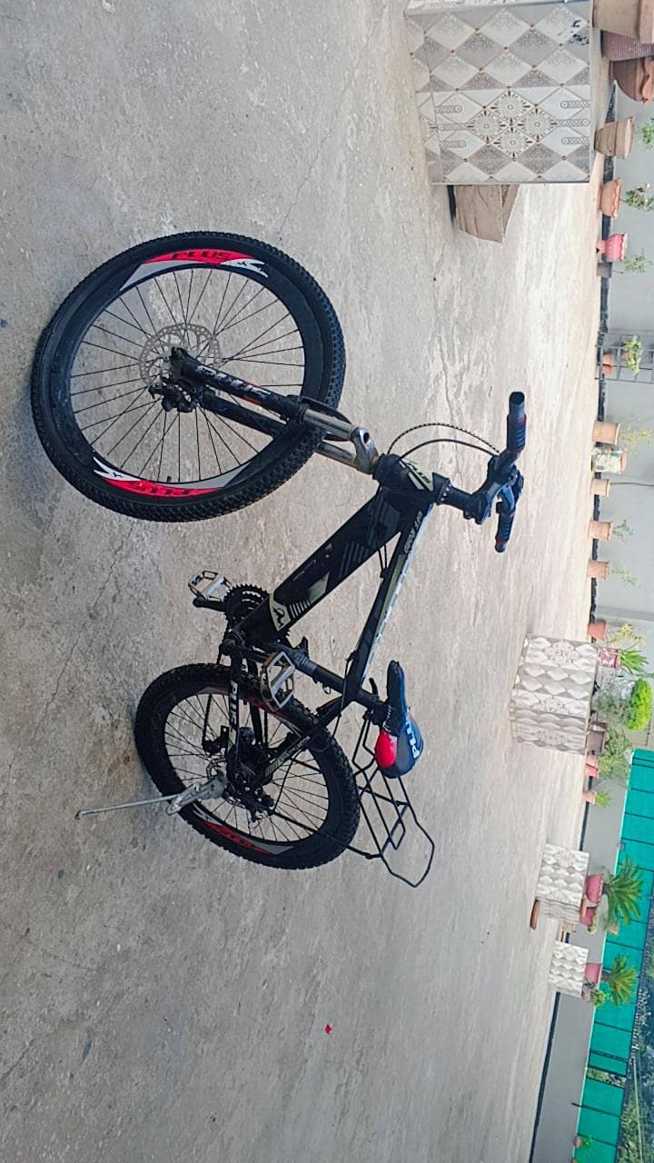 plus cycle 1
