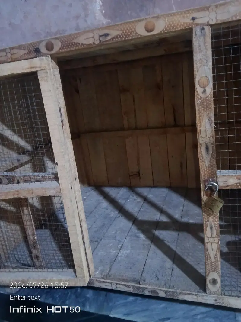 Large Wooden Pet Cage for Sale – Strong & Spacious — photo 4