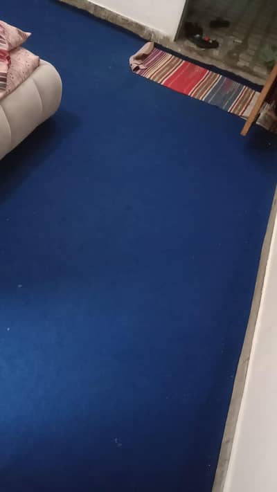 Carpet with Foam