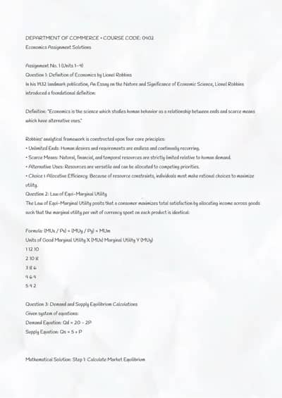 Bs economic assignment spring 2026