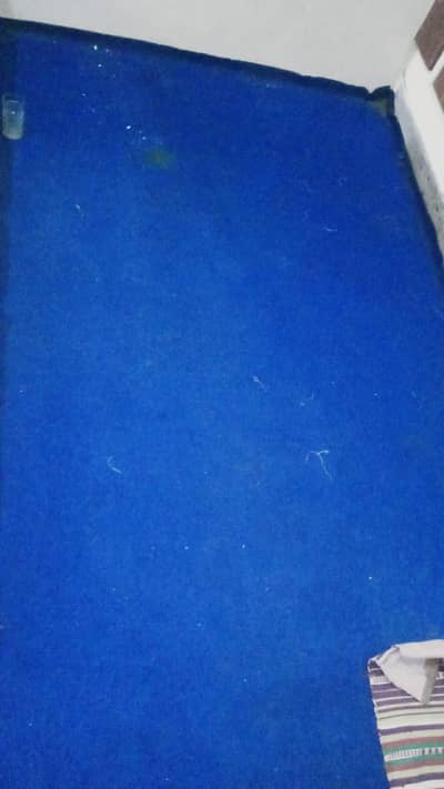 Floor Carpet with Foam
