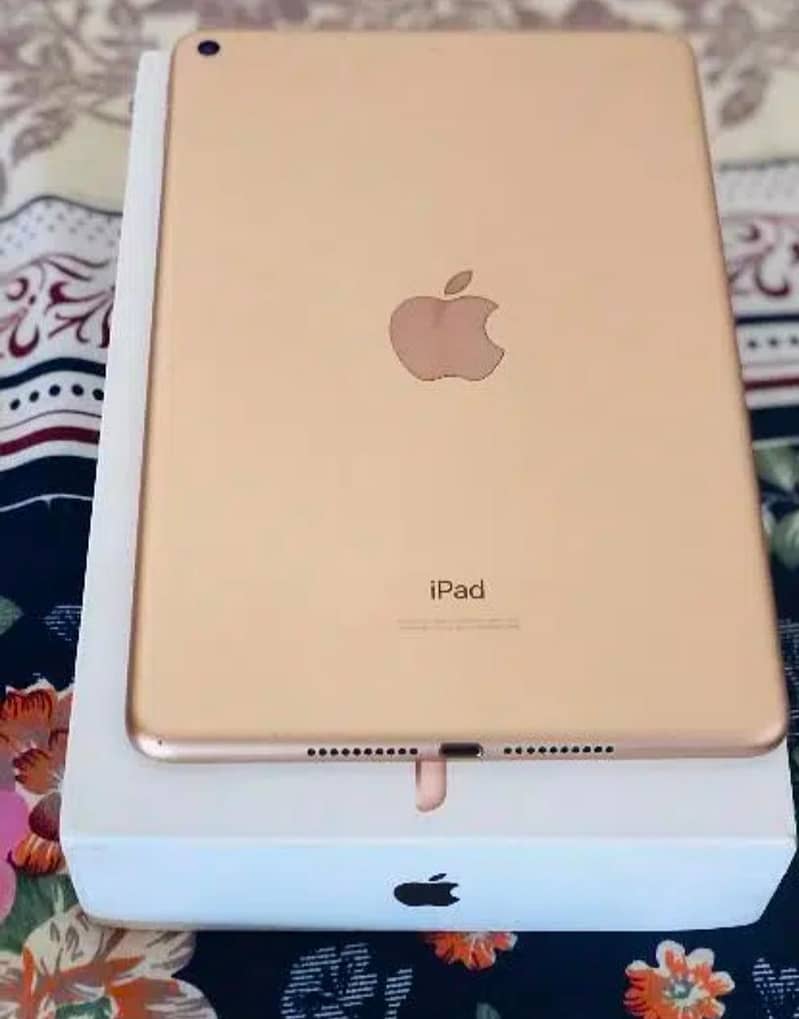 iPad Mini 5 1