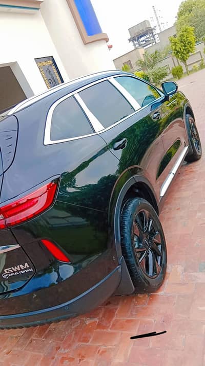 Haval H6 2024  cal 03057376764
