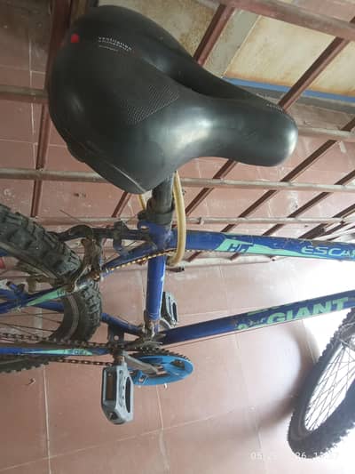 cycle bicycle