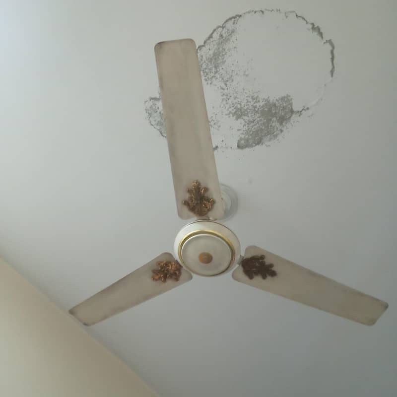 AC ceiling fan. 0