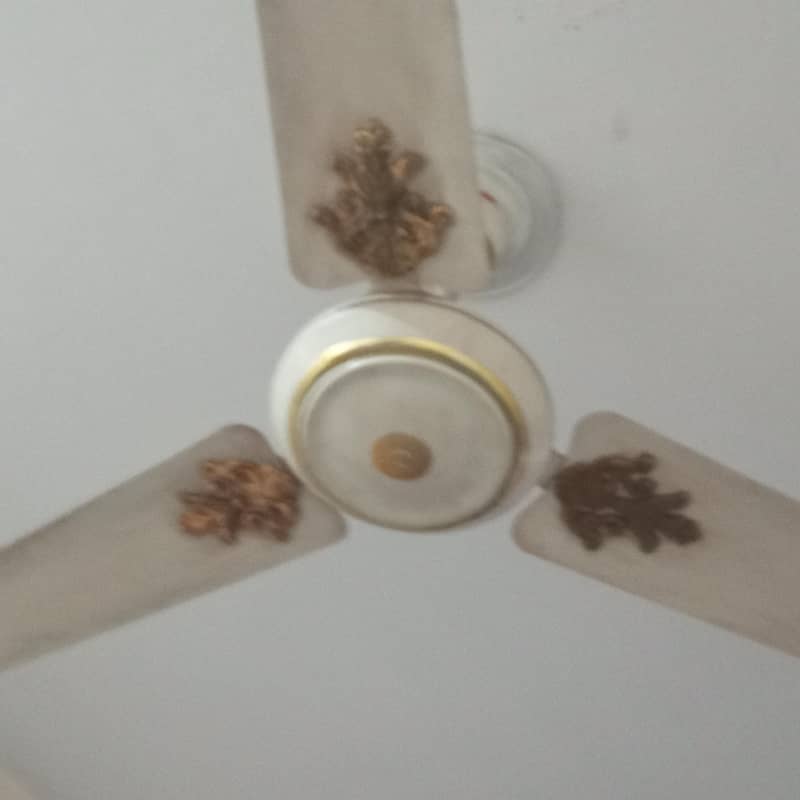 AC ceiling fan. 1