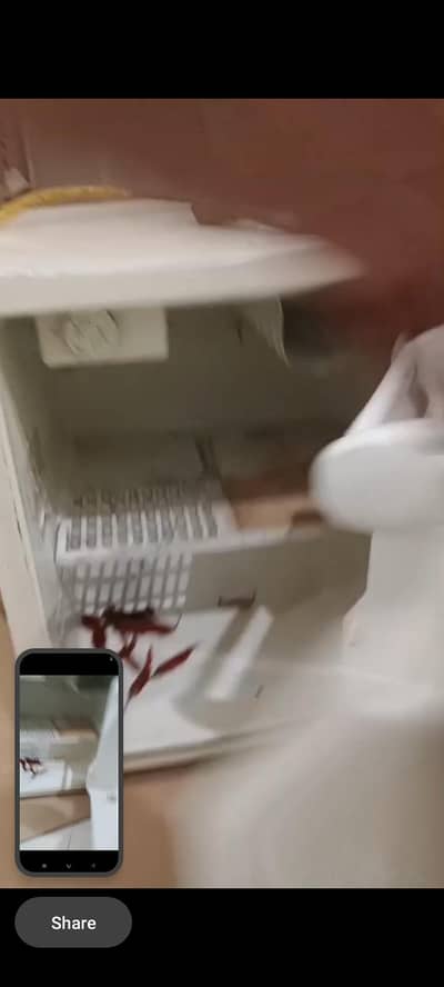 mini room fridge Okay condition