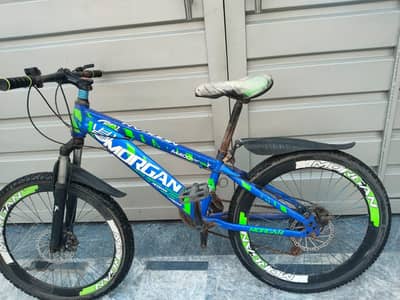 Mountain Bike