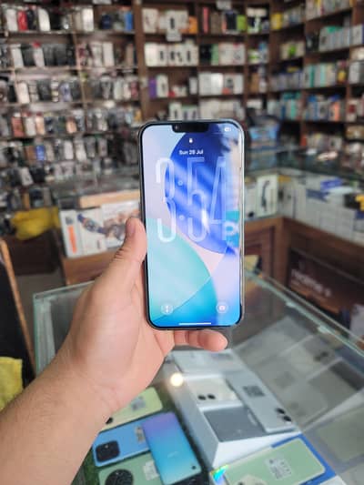 Apple iPhone 13 Pro Max 512 GB