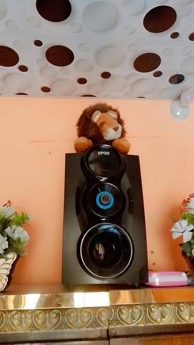 xpod home theatre bwofer sound system