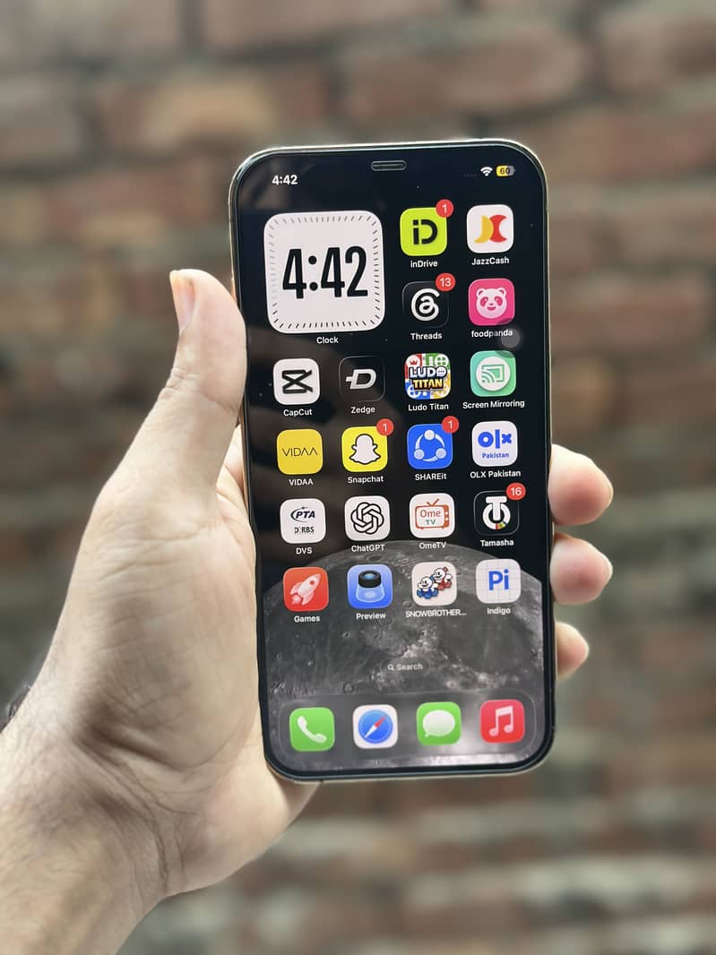 iPhone 12 Pro Max 1