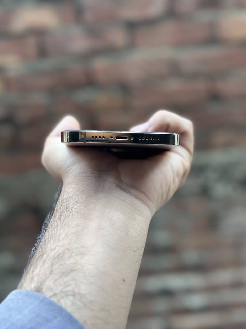 iPhone 12 Pro Max 2