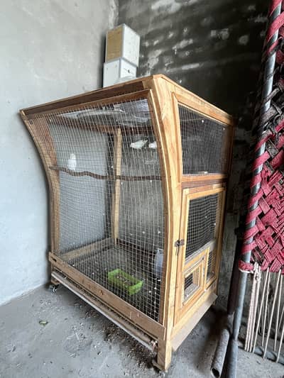 Cage with 4 love Birds for sale