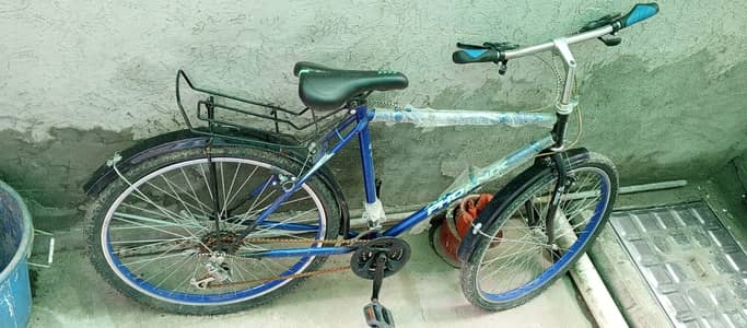 Phoenix Heavy Duty Gear Bicycle for Sale - Excellent Condition