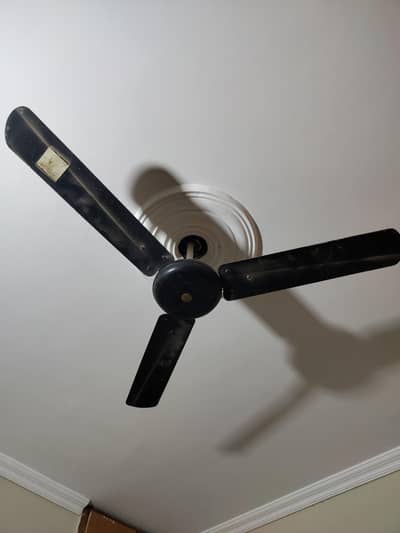 Super Asia Celling fan