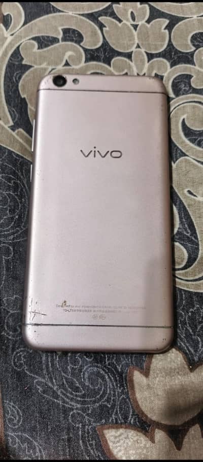 vivo kit
